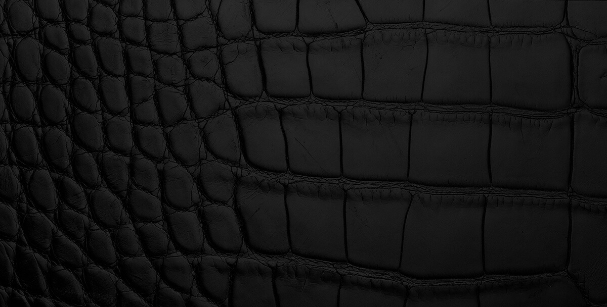 Detail shot of croc-embossed black leather