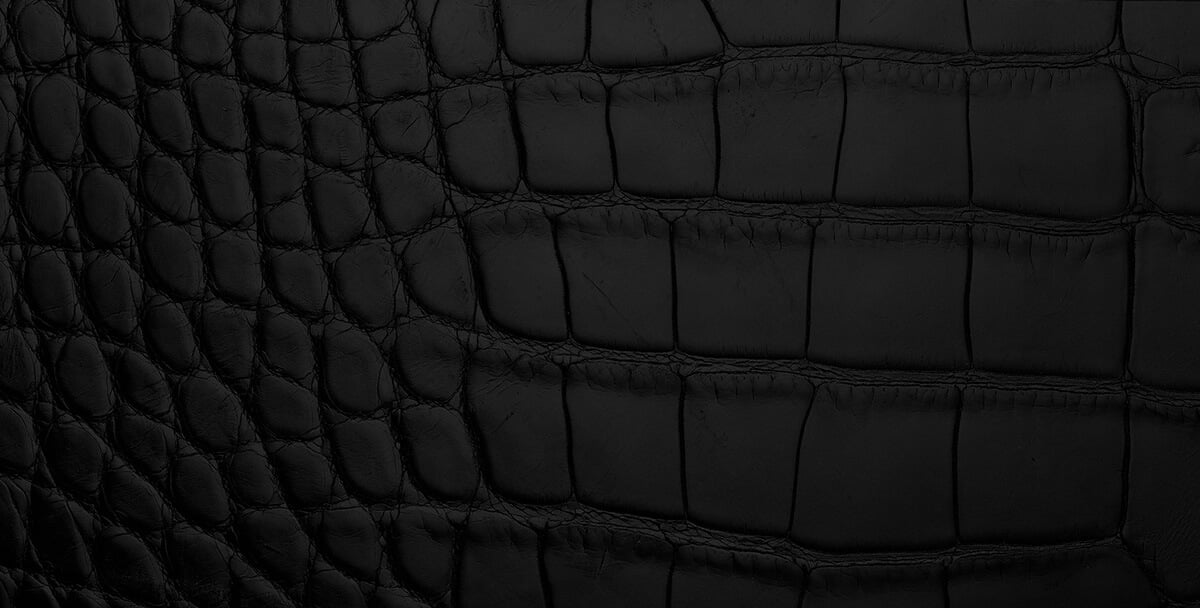 Detail shot of croc-embossed black leather