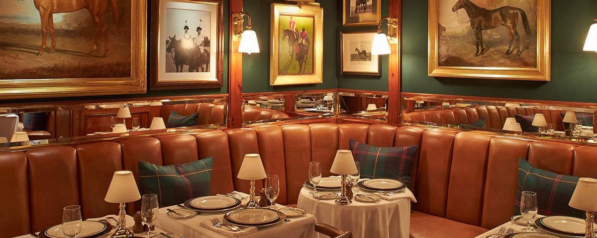 Image of northern lights with elk in the foreground